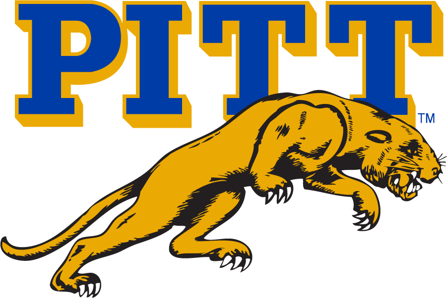 Pittsburgh Panthers 1960-1969 Alternate Logo v2 diy iron on heat transfer